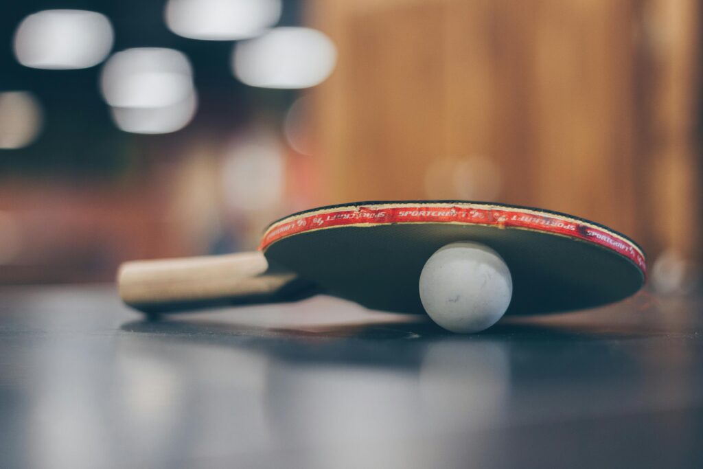 250725 tennis table for others