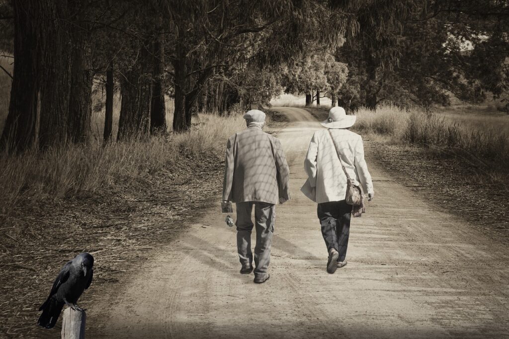 path, elderly, to walk, walk, people, elderly, elderly, walk, people, people, people, people, people